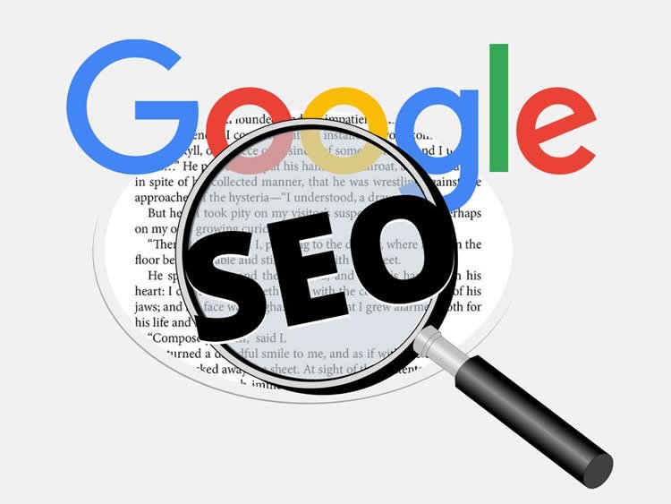 google seo wordpress